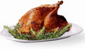 OVENTE Ceramic Oval Turkey Platter, White P4565W | Holiday Serving Plate for Thanksgiving & Christmas Dinner, Fall Table Centerpiece Tray for Entertaining, Easy-Clean